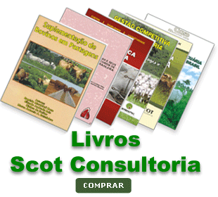 Loja Virtual - Livros