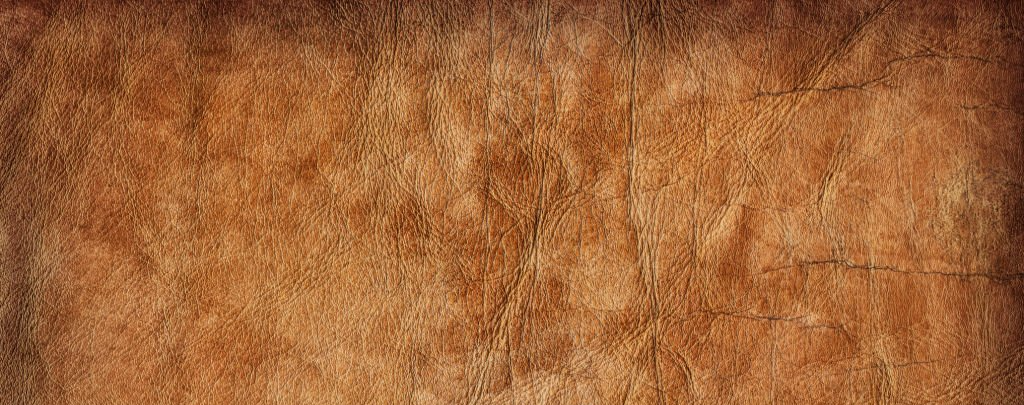 Textura de pele bovina crua