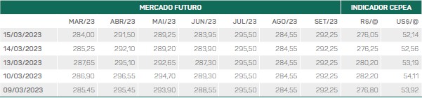 mercado futuro