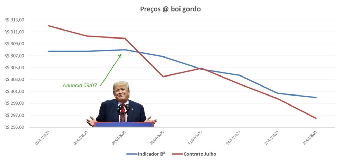 mercado futuro