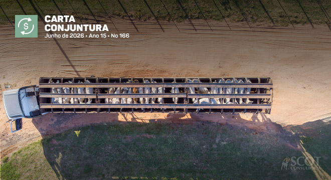 carta-conjuntura-mapa-apresenta-ajustes-na-minuta-de-regulamentacao-do-transporte-de-animais-vivos-apos-consulta-publica