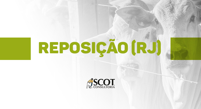 fique-sabendo-cotacoes-de-bovinos-nelore-destinados-a-reposicao-no-rio-de-janeiro