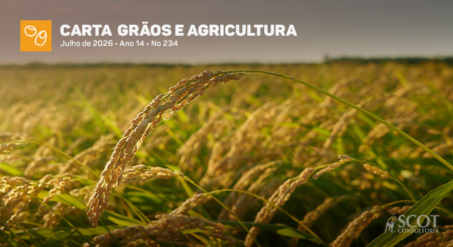 carta-graos-e-agricultura-arroz-exportacao-eleva-os-precos-internos-mas-a-conta-nao-fecha-para-os-rizicultores