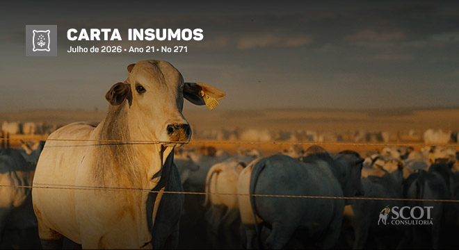 carta-insumos-fosforo-mais-caro-alta-do-enxofre-impulsiona-precos-do-fosfato-bicalcico-e-dos-suplementos-minerais