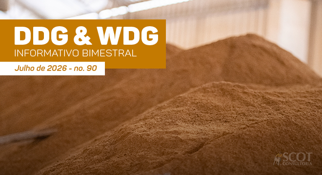 ddg-wdg-relatorio-bimestral-da-scot-consultoria