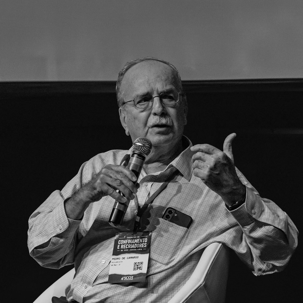 Pedro de Camargo Neto