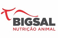 Bigsal