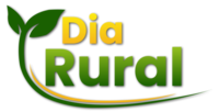 Dia Rural