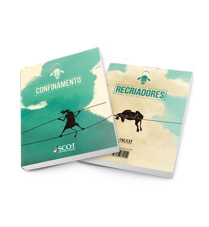 2 em 1 – Livro Encontro de Confinamento e Recriadores da Scot Consultoria 2016