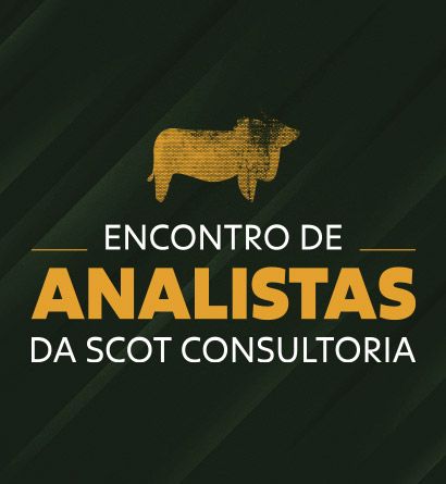 EA 2024 - Encontro de Analistas da Scot Consultoria