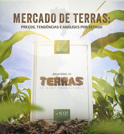 Relatório de Terras da Scot Consultoria