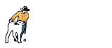 Serviços Scot Consultoria